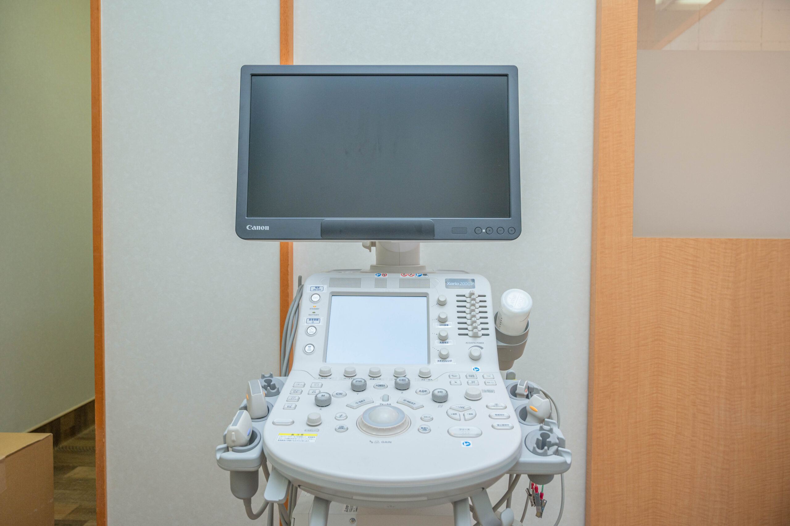 Canon Xario200GV