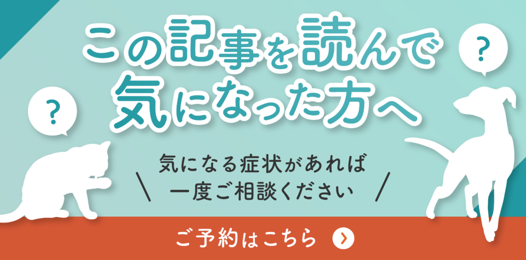 この記事を読んで気になった方へ 気になる症状があれば一度ご相談ください ご予約はこちら